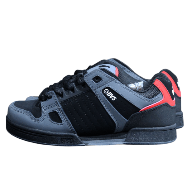 DVS CELSIUS