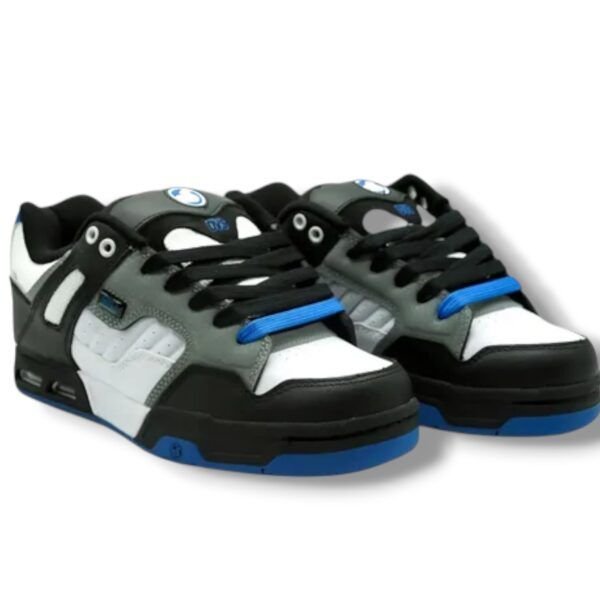 DVS ENDURO HEIR VALVULA 
WHITE/BLACK/BLUE